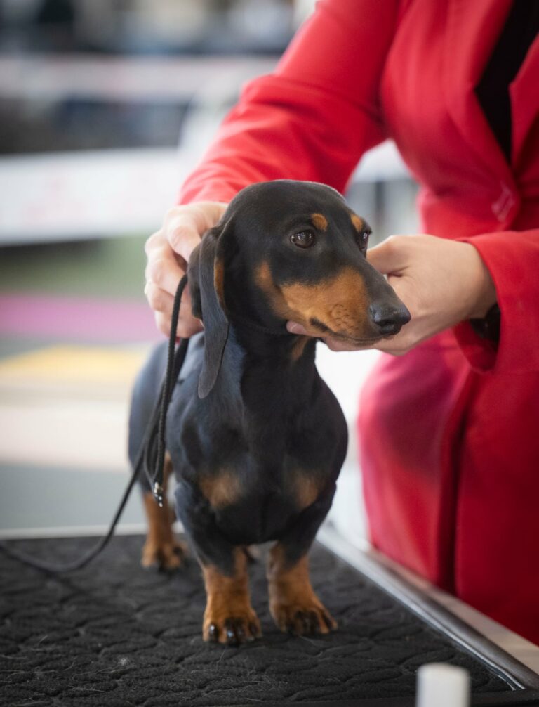 att.uJpIL20XEXBq69FcRdT0NdODYhWeIA2fmti2kDSuBhE