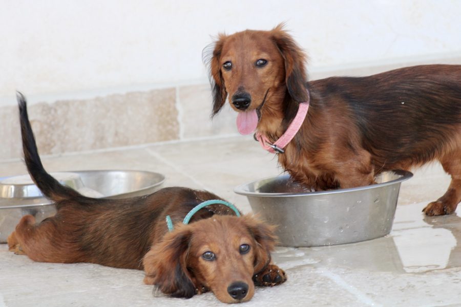 1C723C03-2792-46F7-9029-FBE7C6FE6C3B