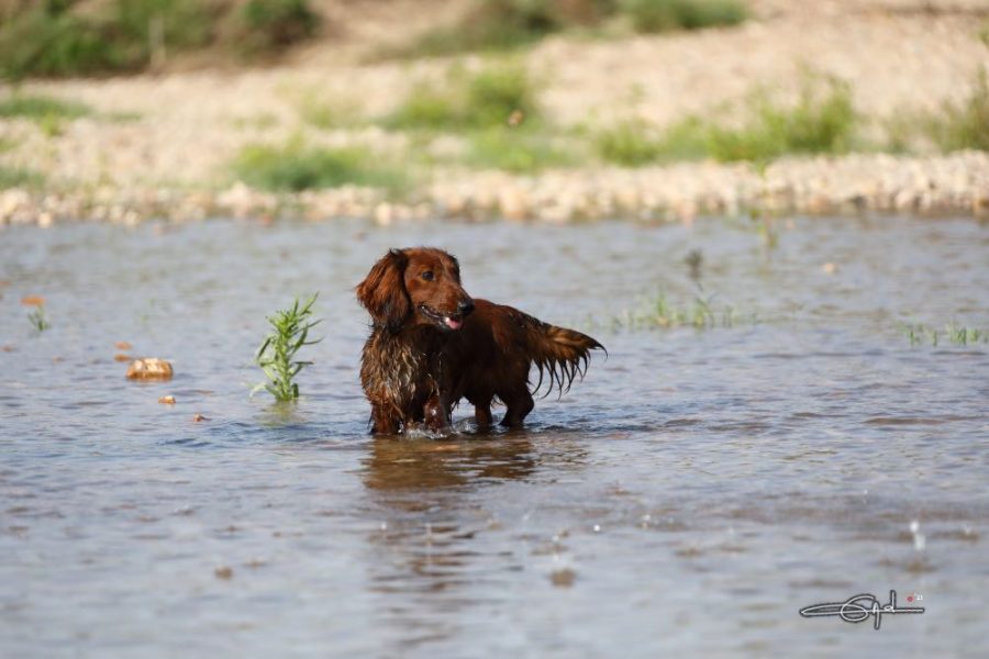 241310298_4152705794828510_4349302834916497546_n