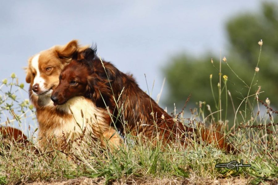 241679215_376617024073481_132698923577044438_n