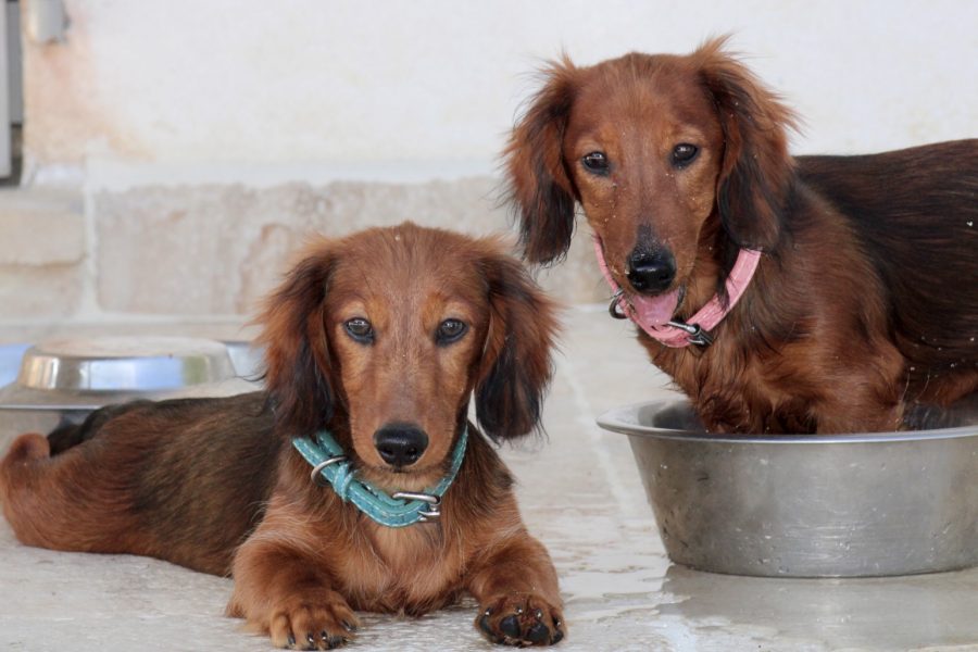 B9F052F1-C895-4FBB-B2B4-F7829C50981A