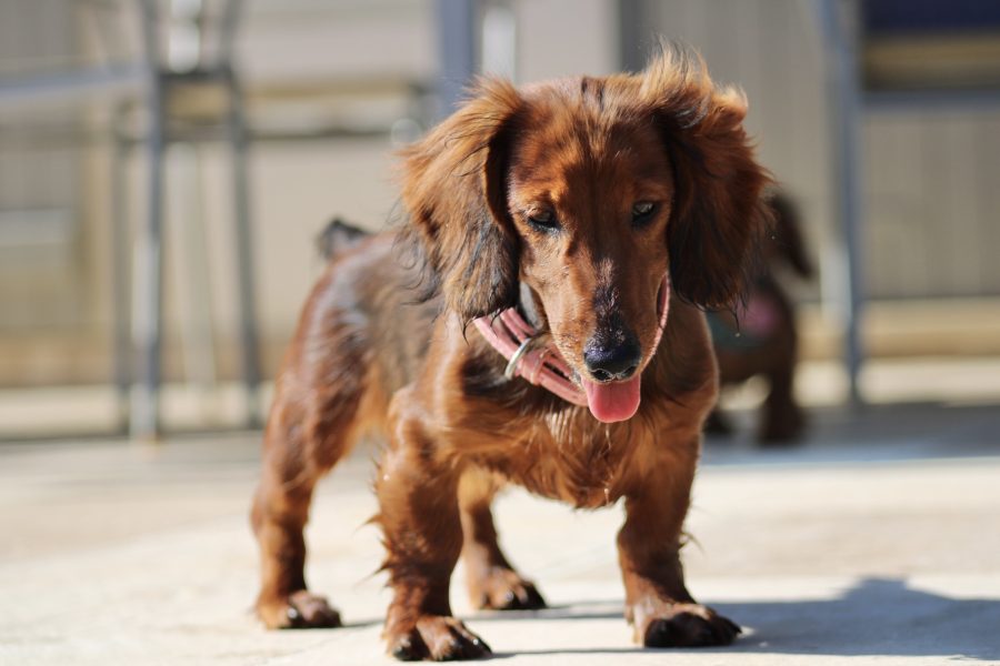 BB8A67F9-4075-4920-AC1F-3EFCAA48FE22